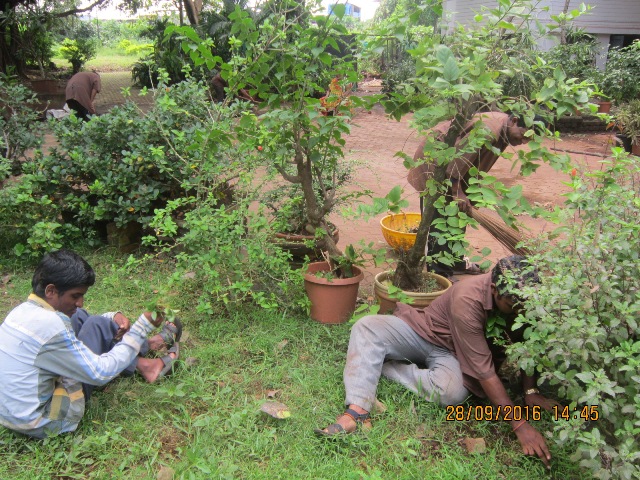 Vocational Training